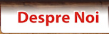 Despre Noi